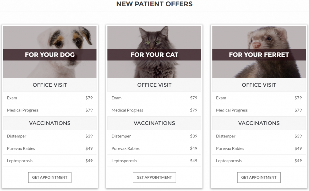 VetBox – Veterinary & Pet Care WordPress Theme