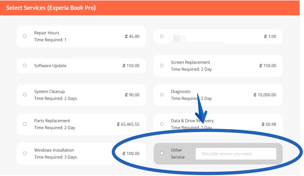 Other services to select if the customer required service is not listed