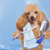 Dental Care - Image 2