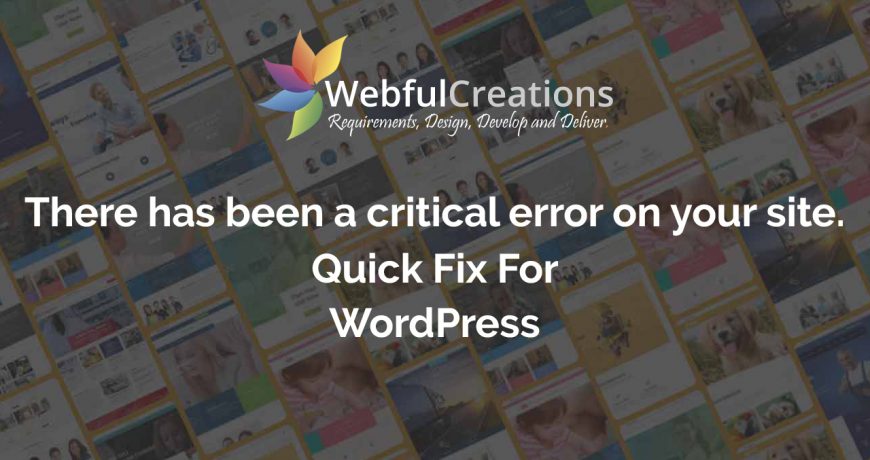 There Has Been A Critical Error On Your Website.