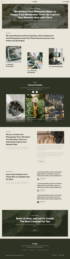 Webfulcreations: How To Create A Photography Website In WordPress